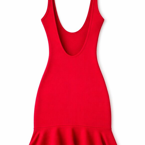 Ella Ribbed Mini Dress - Picture 3 of 4